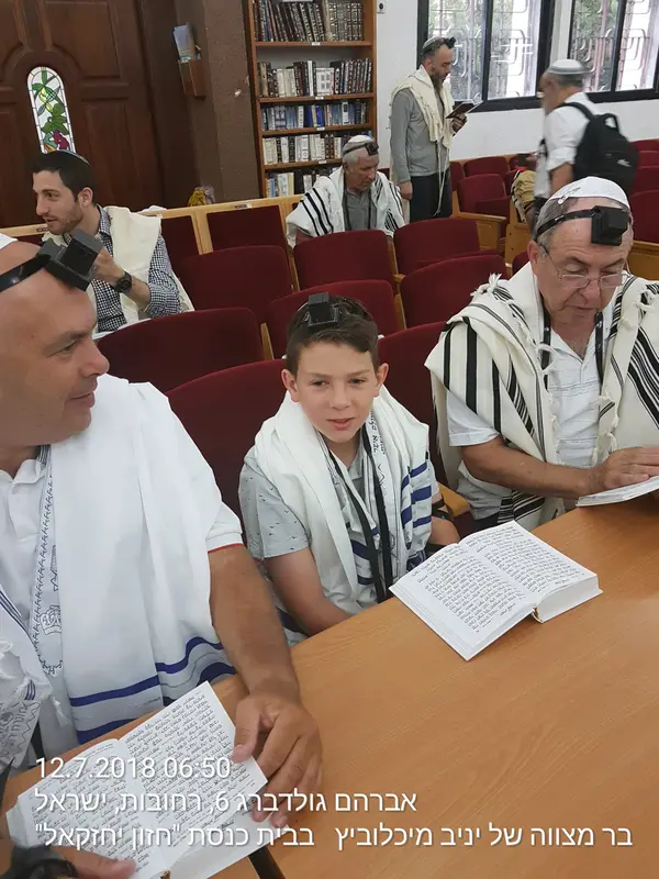 יניב מיכלוביץ — בית ספר